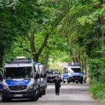 All boar, no roar: ‘Lioness’ search near Berlin ends, wild pig suspected