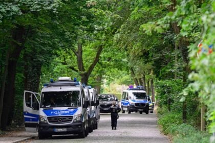 All boar, no roar: ‘Lioness’ search near Berlin ends, wild pig suspected