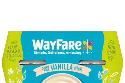 Allergy-Friendly Alt Puddings : dairy free pudding