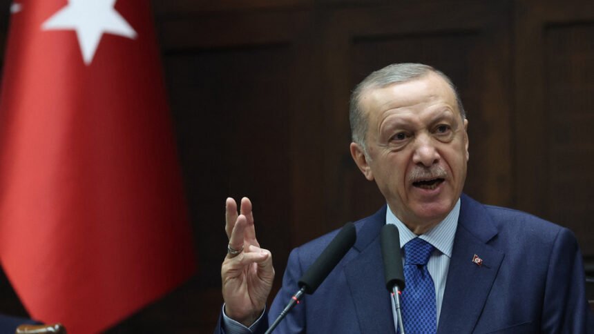 Erdogan appeals to West over Black Sea grain deal — RT World News