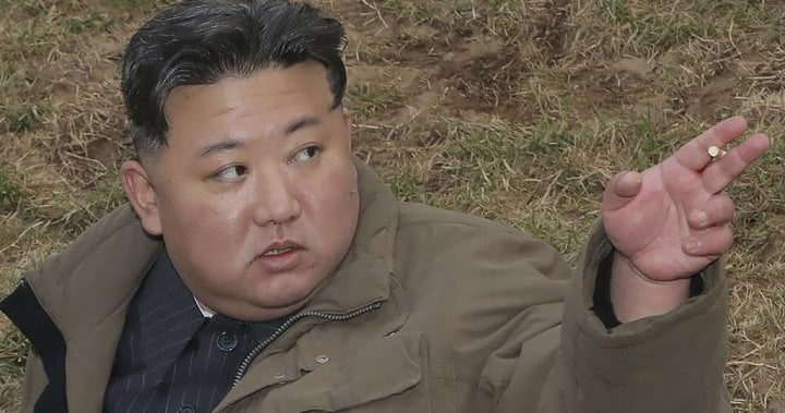 G7, EU to urge China to help stop North Korea evading UN sanctions: report – National