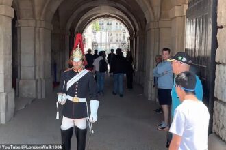 King’s Guard melts hearts by making a rare break in protocol so boy with Down’s syndrome can have a photo taken with him