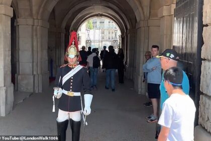 King’s Guard melts hearts by making a rare break in protocol so boy with Down’s syndrome can have a photo taken with him
